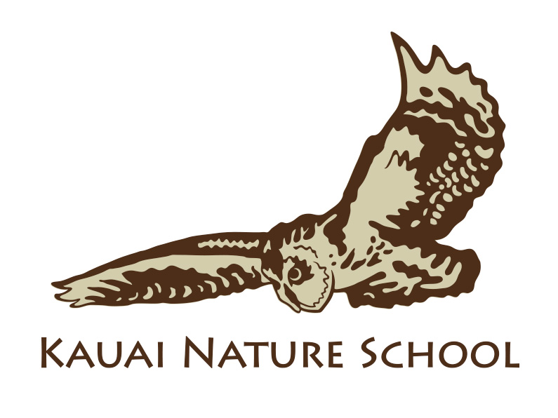 logo design: Kauai Nature School